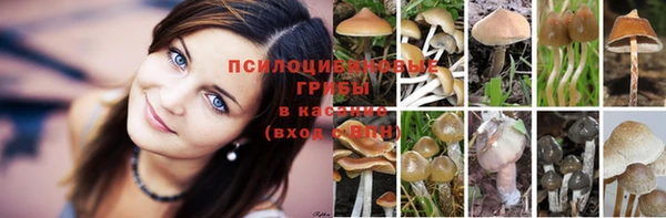 a pvp Абдулино