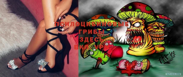PSILOCYBIN Карпинск