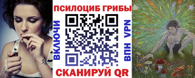 blacksprut сайт  Назрань  Псилоцибиновые грибы GOLDEN TEACHER  купить  цена 